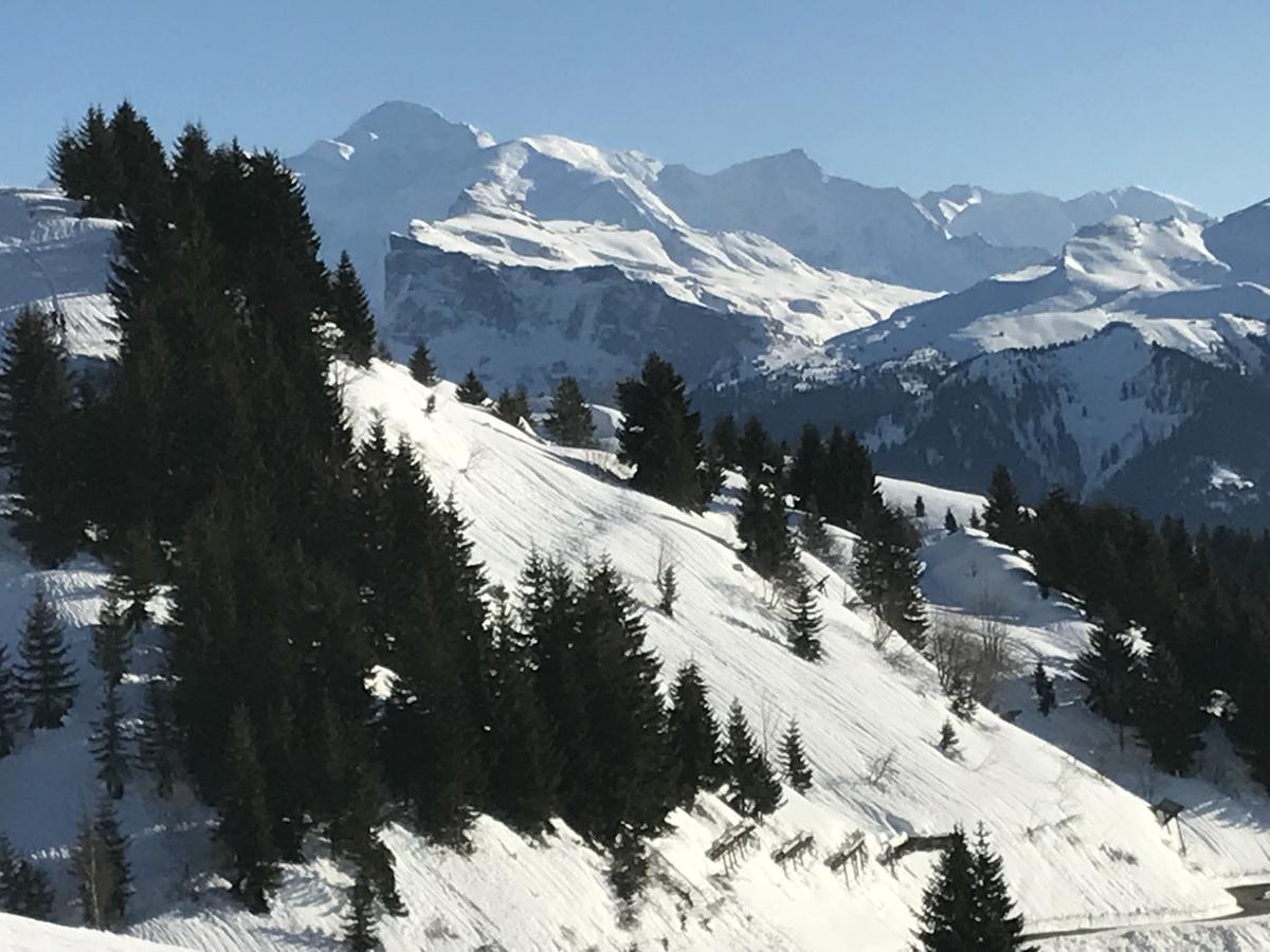 Residence Les Chardons Argentes Samoëns Екстериор снимка