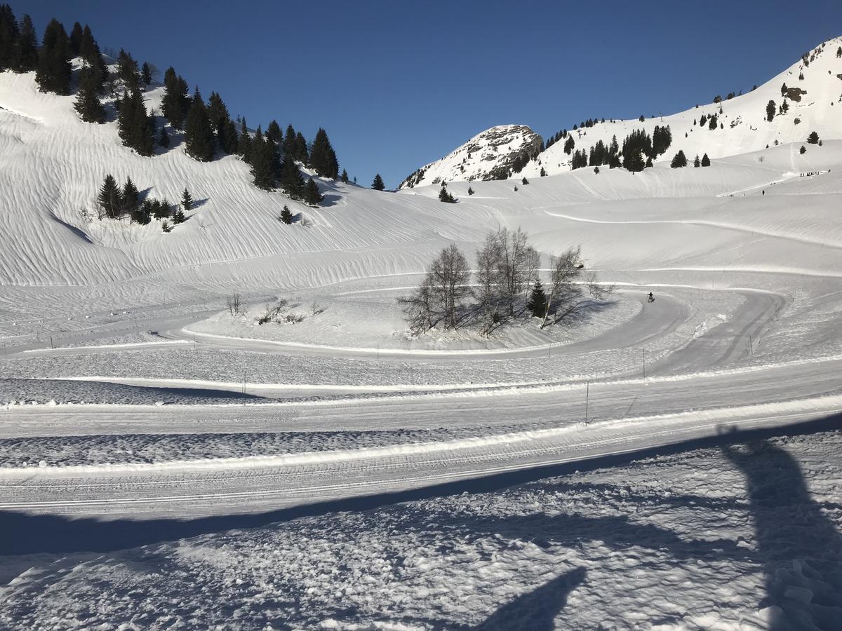 Residence Les Chardons Argentes Samoëns Екстериор снимка
